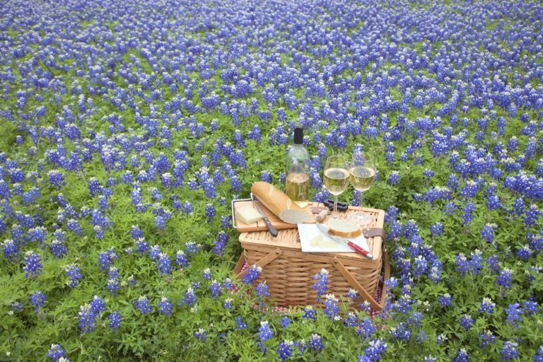 10 Best Texas Hill Country Wineries Vineyards 2024   Best Texas Hill Country Wineries To Visit This Year Winetraveler 768x512 