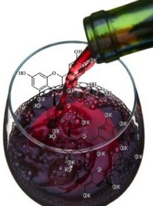 Defining Astringency in Wine Characteristics • Winetraveler