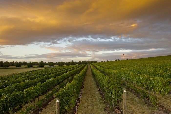 Washington's Columbia Valley AVA - Introductory Guide • Winetraveler