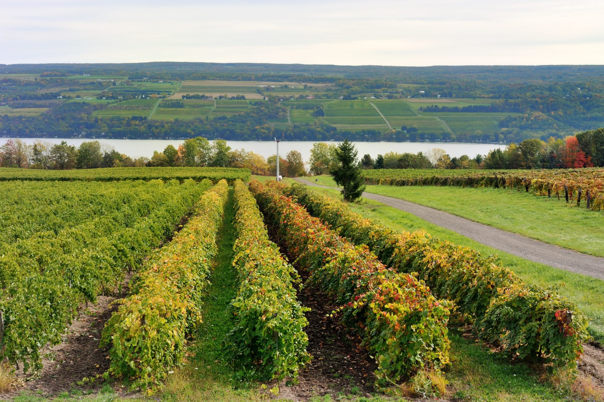 6 Best Keuka Lake Wineries To Visit For Tastings & History