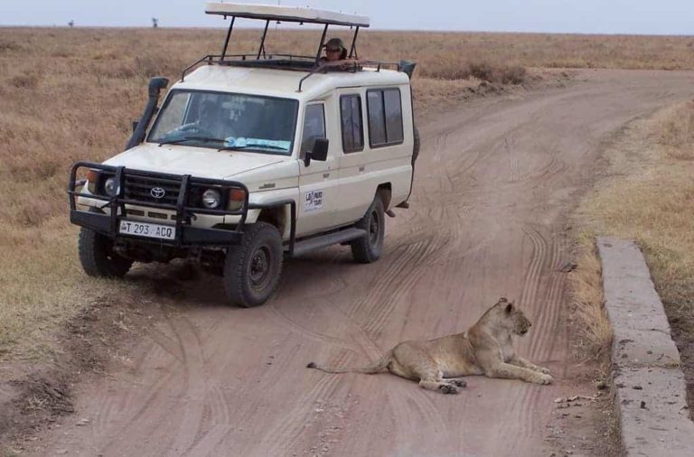 African Safari Planning Guide 20 Tips To Prepare For A Safari • Winetraveler 1869