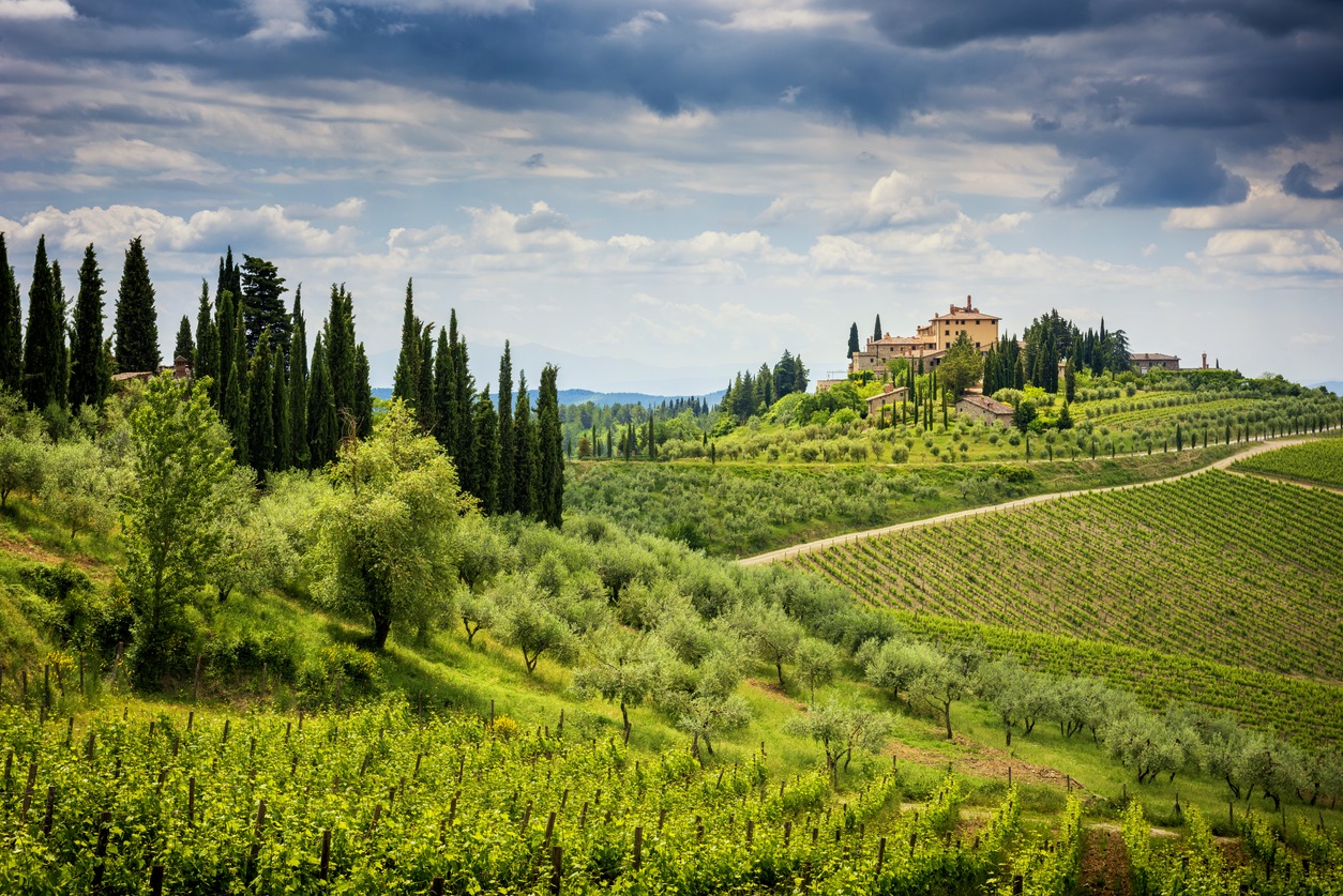 best wine tours of the world