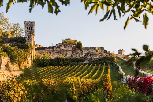 30 Top Bordeaux Wineries You Can't Miss on Your Next Trip to France