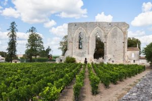 30 Best Bordeaux Wineries & Famous Vineyards 2024