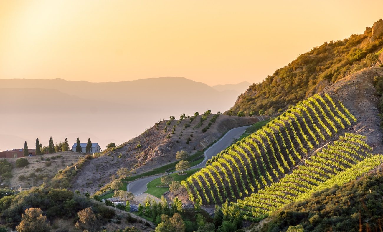 Where To Go Wine Tasting in Malibu California