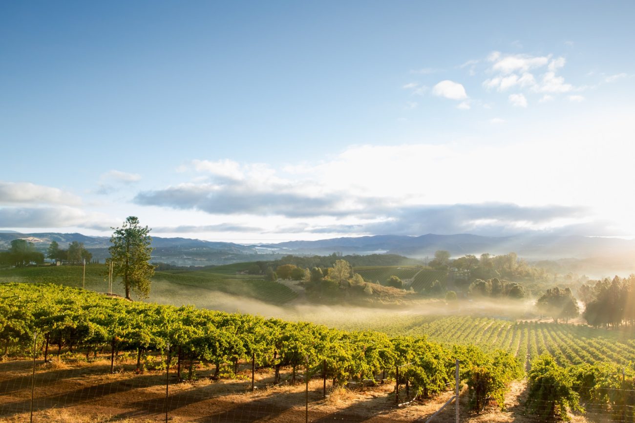 what wineries to visit in sonoma