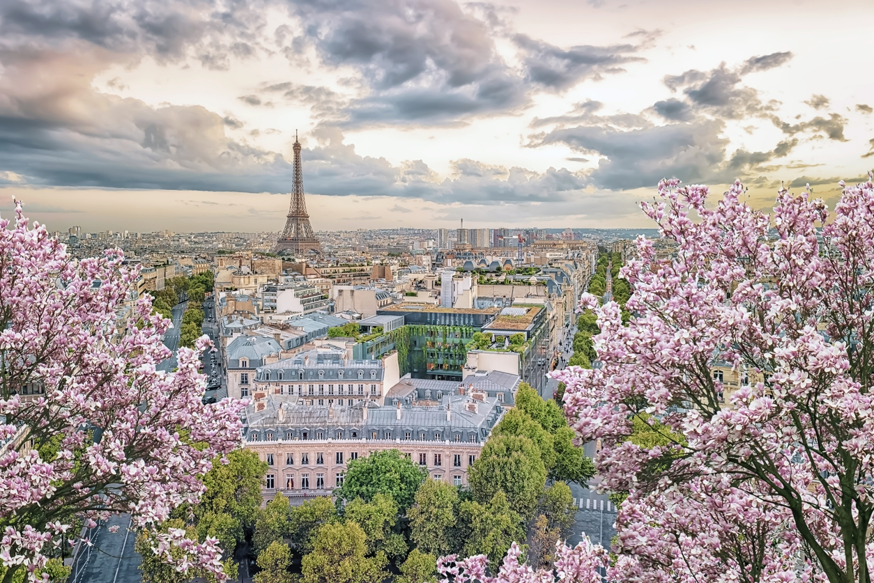 Walk in the Park: Louis Vuitton offers a series of unique experiences in  Paris