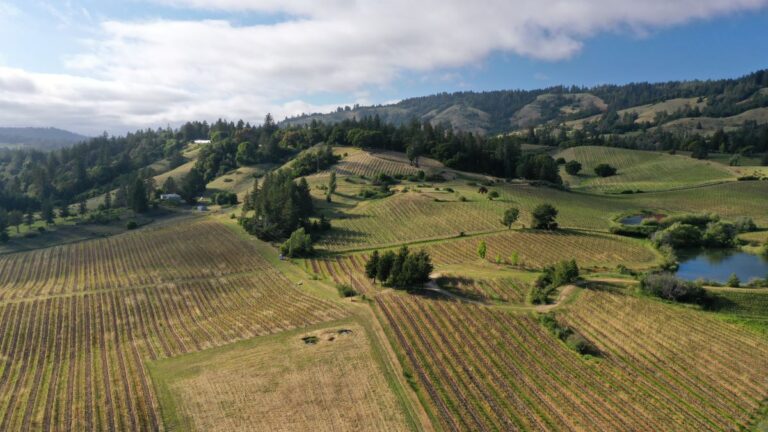 10 Best Anderson Valley Wineries, Hotels & Restaurants 2024