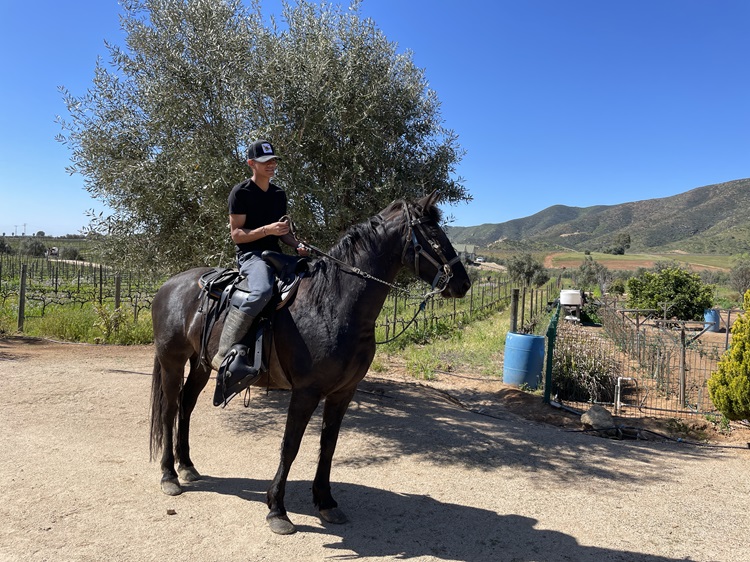 Horseback riding in Valle de Guadalupe