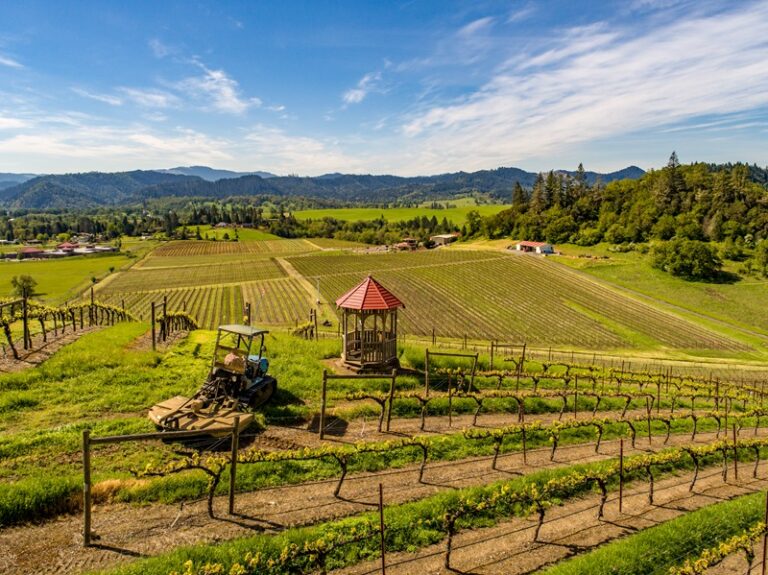 Umpqua Valley Wine Tasting Guide: Best Wineries, Hotels & Eats