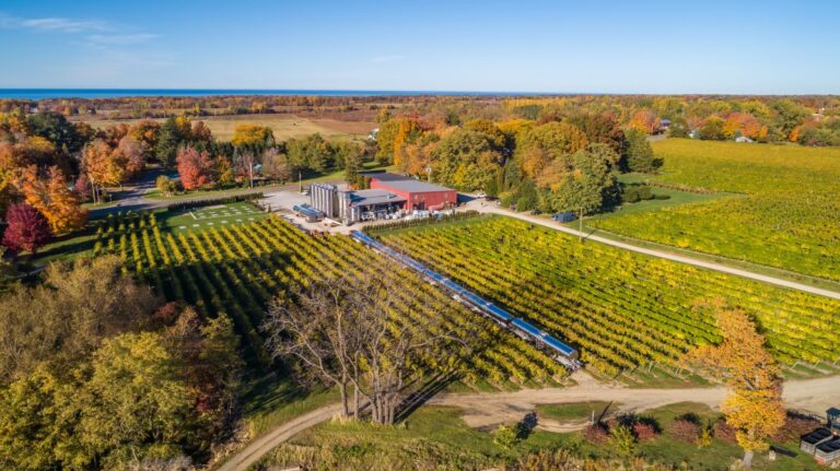 Guide to the Best Wineries to Visit in Lake Erie in 2025