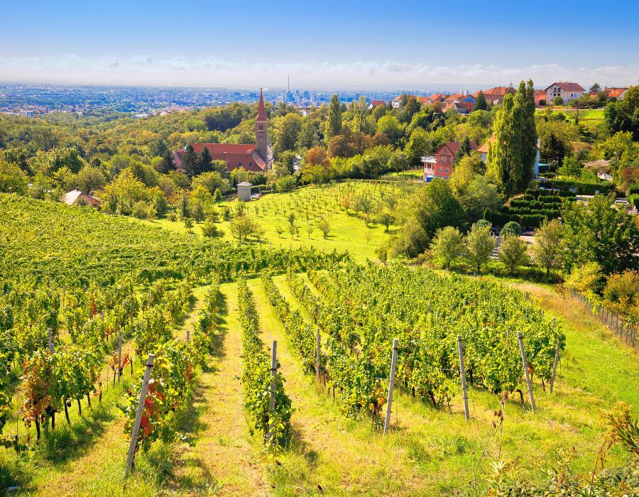 Winery in Croatia near Zagreb