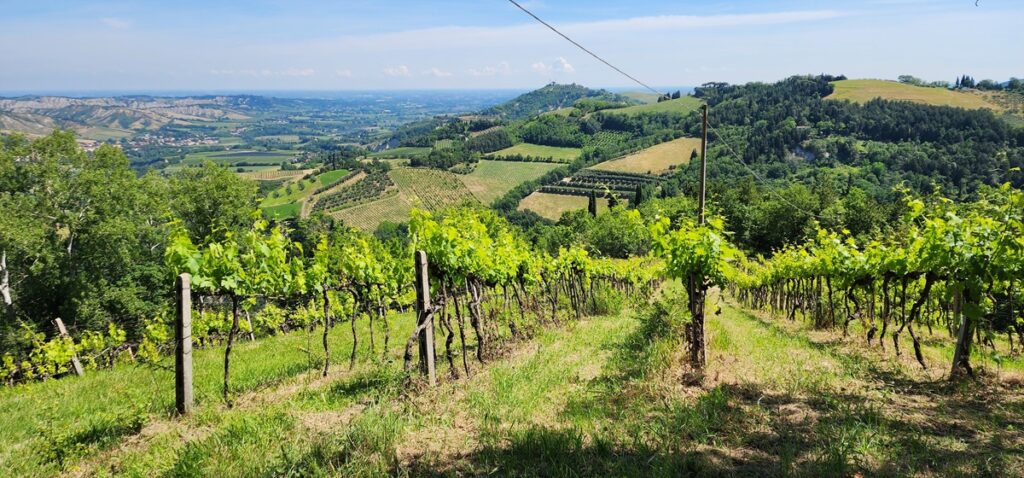 Emilia-Romagna Wine Region