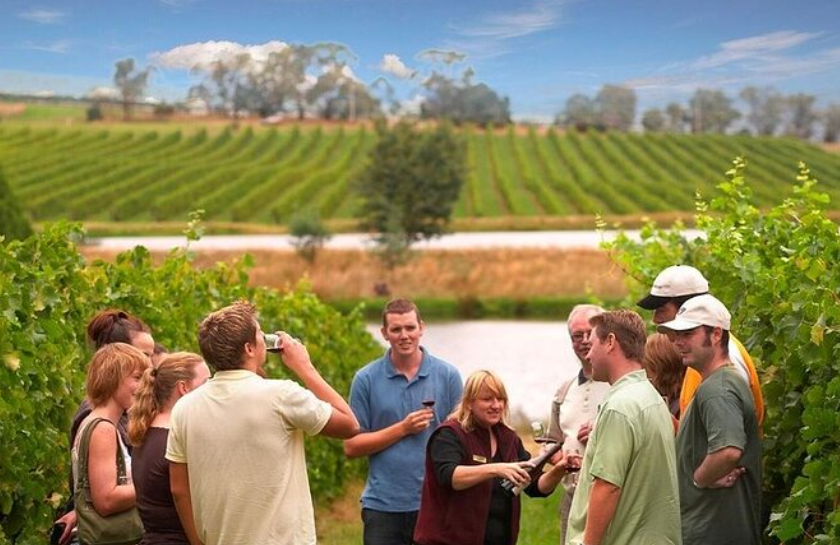 Wine Tour in Yarra Valley Australia