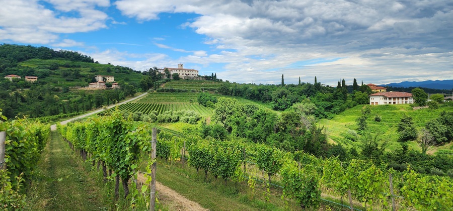 Collio Orientale